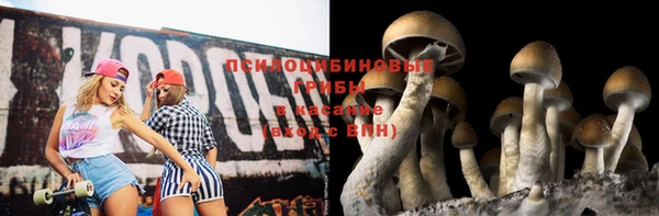 ECSTASY Балахна